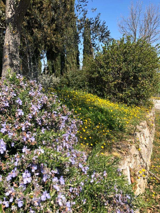 Il Capanno Villa Asciano Bagian luar foto