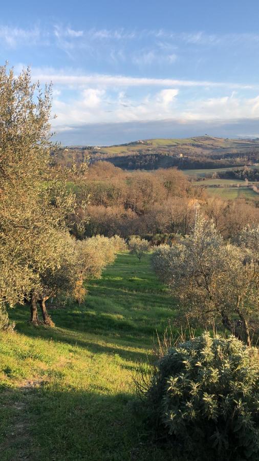 Il Capanno Villa Asciano Bagian luar foto
