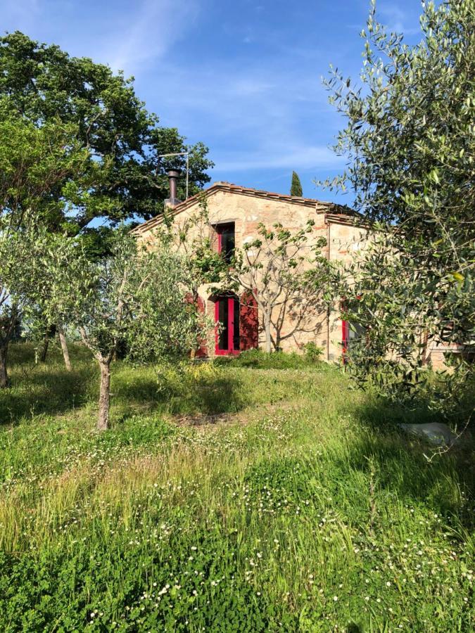 Il Capanno Villa Asciano Bagian luar foto