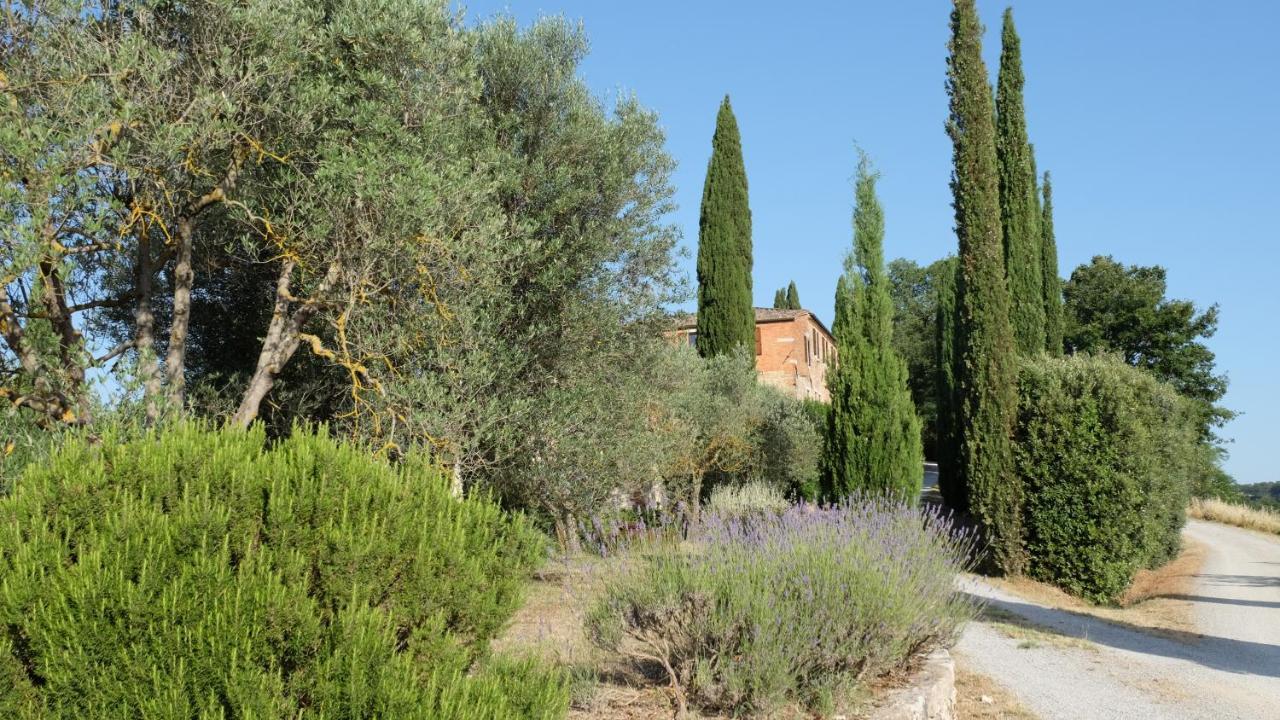 Il Capanno Villa Asciano Bagian luar foto